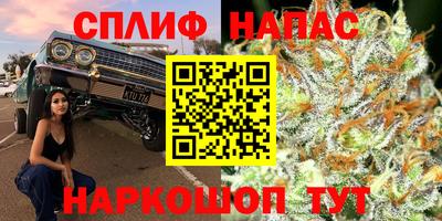 тгк Аргун