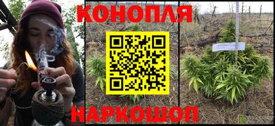 тгк Аргун