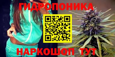 тгк Аргун